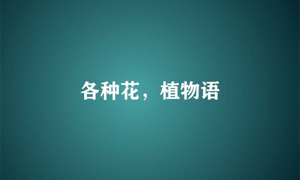 各种花，植物语
