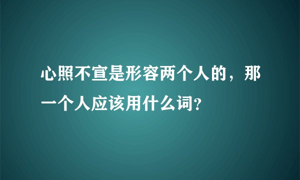 心照不宣是形容两个人的，那一个人应该用什么词？