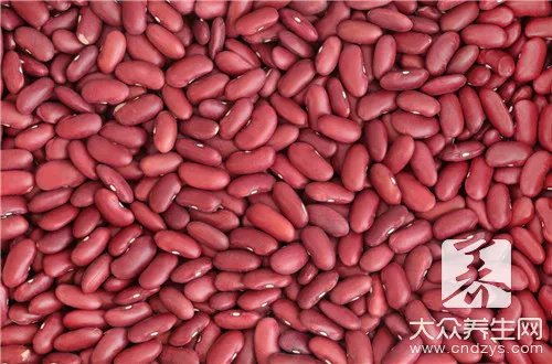 豆油压榨和浸出的区别