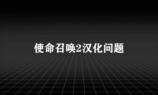 使命召唤2汉化问题
