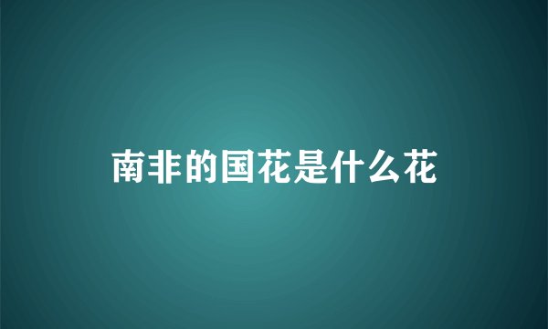 南非的国花是什么花