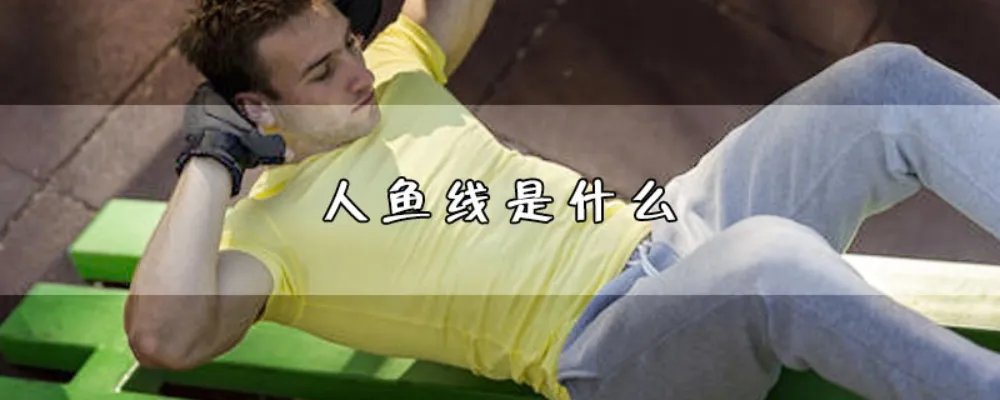 人鱼线是什么