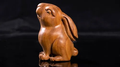 水黄杨木与黄杨木区别有什么