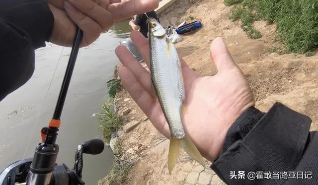 谁可以分享一下路亚钓鱼技巧？