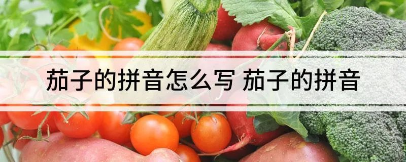 茄子的拼音怎么写 茄子的拼音