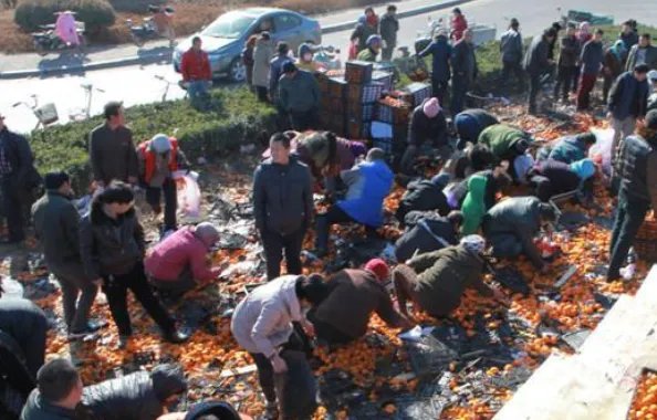 承包商收花生时遭村民哄抢，为何报警都管束不住这群农民？