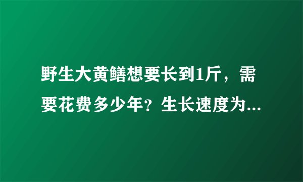 野生大黄鳝想要长到1斤，需要花费多少年？生长速度为何这么慢