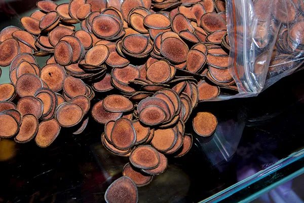 抚顺特产有哪些 抚顺有哪些特产