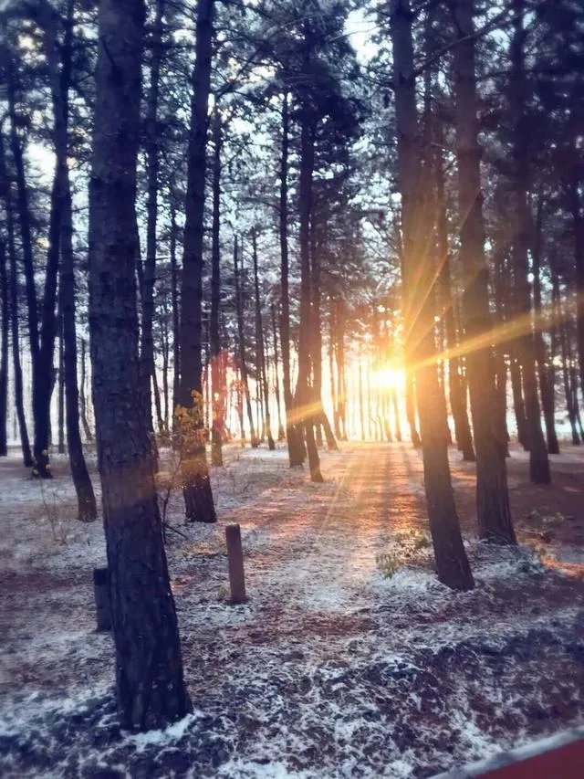 日落代表的寓意