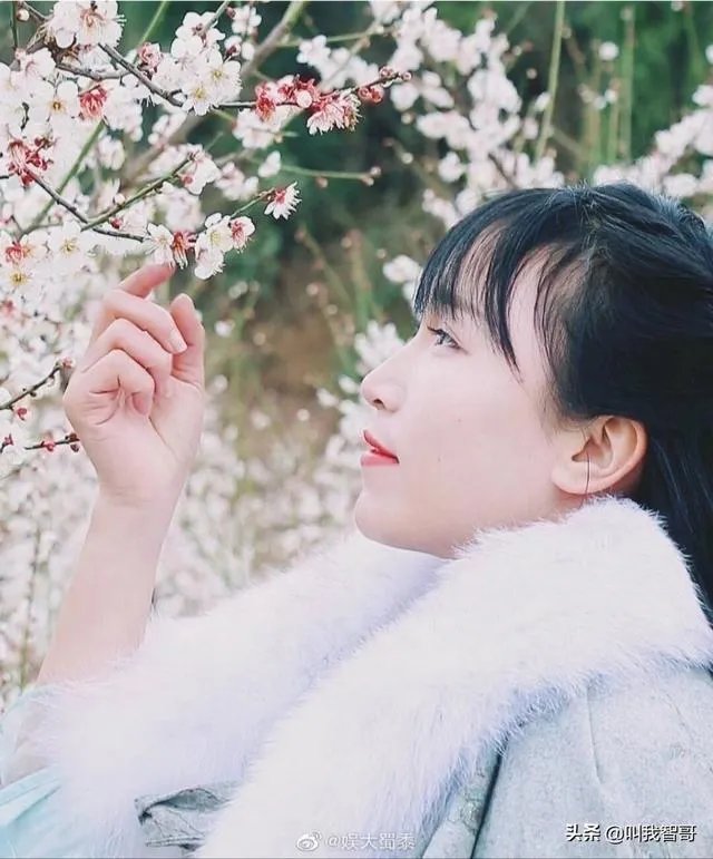 李子柒是不是文化输出引热议,你怎么看?