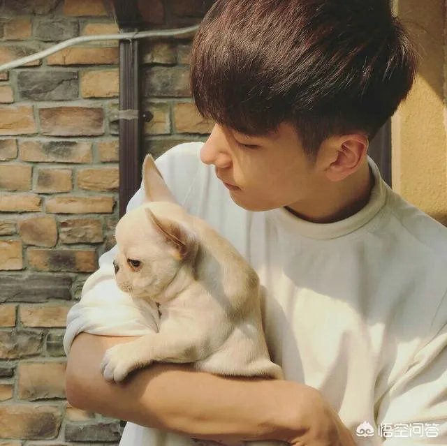 有哪些适合男生的头像?