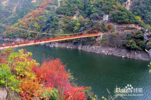 黑河森林公园旅游攻略