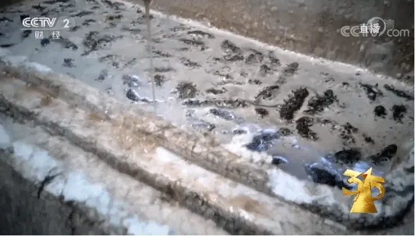 难道敌敌畏泡大的海参，产业链里早已人尽皆知了吗？