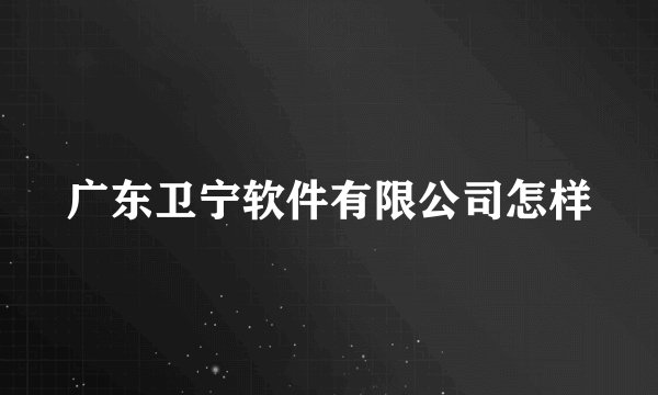 广东卫宁软件有限公司怎样