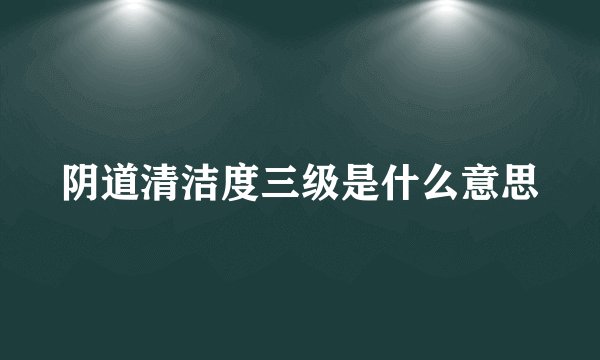 阴道清洁度三级是什么意思