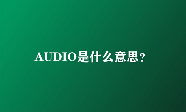 AUDIO是什么意思？