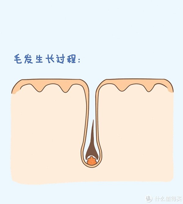 脱毛贴怎么使用