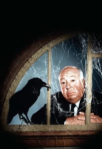 失踪的女人的剧情简介