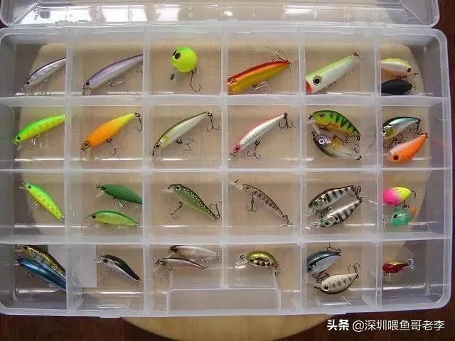 谁可以分享一下路亚钓鱼技巧？