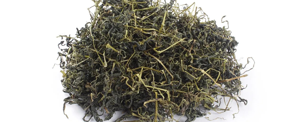 绞股蓝茶的功效与作用