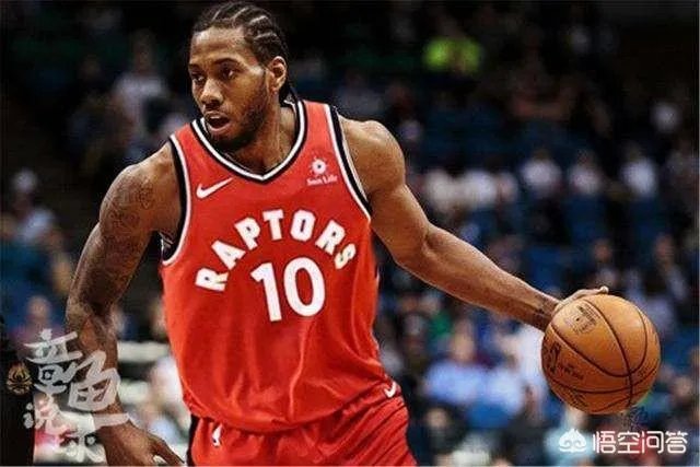 目前猛龙、雄鹿、鹈鹕，你更看好哪只队伍？为什么？