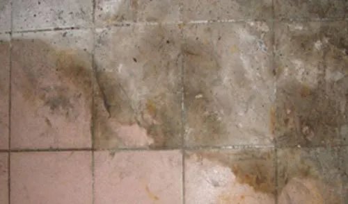 让你轻松搞定瓷砖清洗的七大妙招