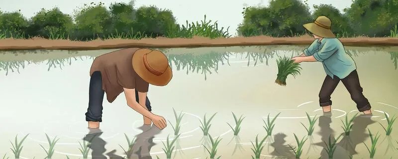 四海无闲田农夫犹饿死的意思