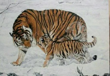 森林之王的读后感100字