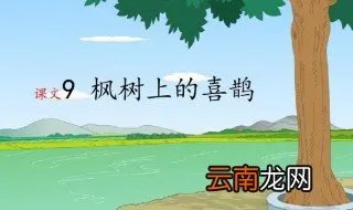 枫树上的喜鹊课文 枫树上的喜鹊原文