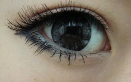 种眼睫毛怎样