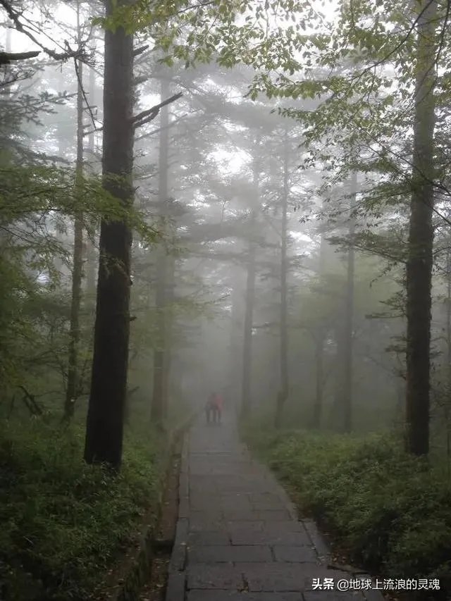 你去过的第一个A级景区是哪里？给你留下了什么深刻印象？