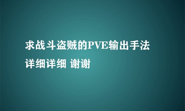 求战斗盗贼的PVE输出手法 详细详细 谢谢