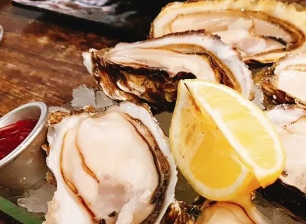 oyster是什么意思