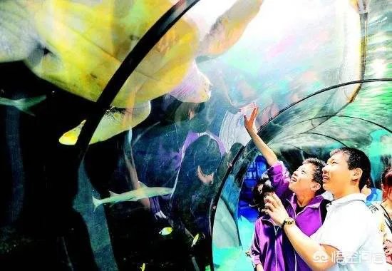 太原迎泽公园的海底世界搬到哪里了？