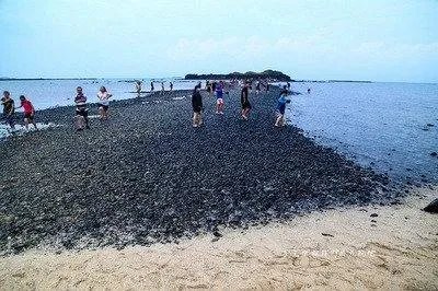 潮时潮高什么意思