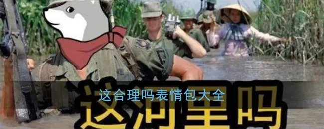 这合理吗表情包大全