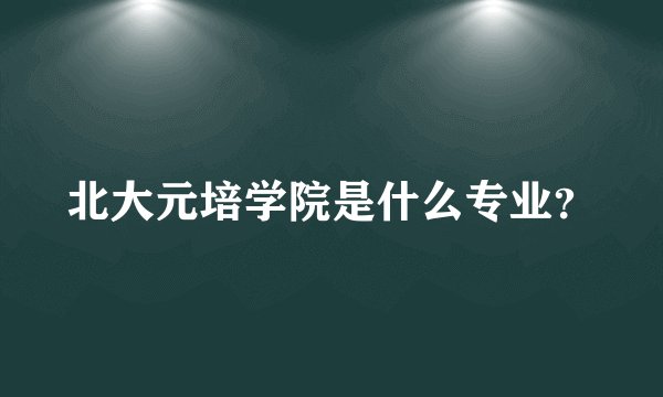 北大元培学院是什么专业？