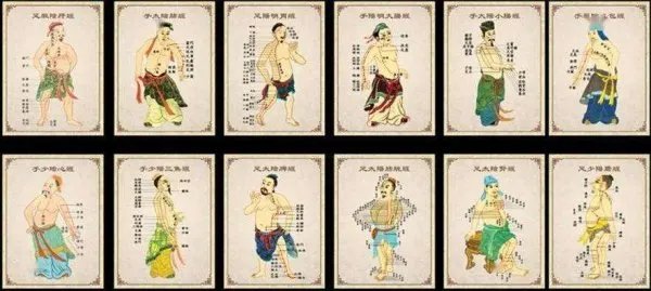 十二经络图？