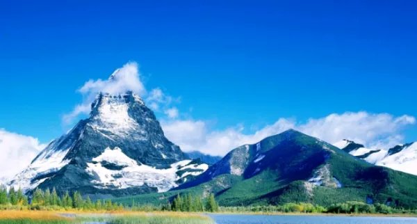 “花无百日红”的下一句是什么?