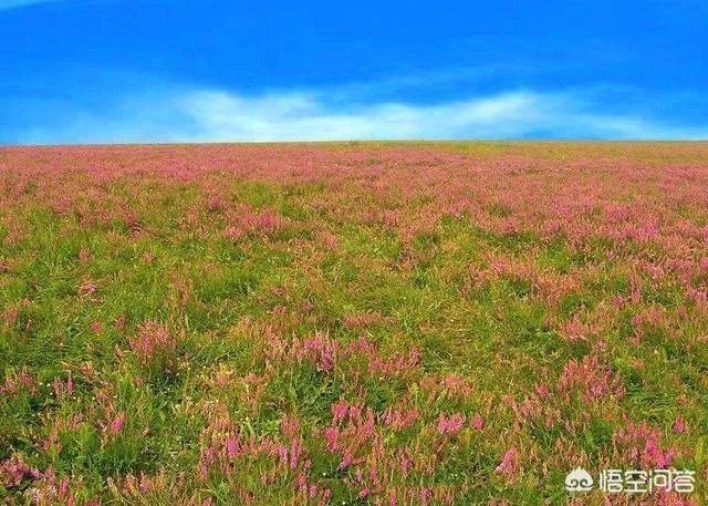 有哪些景点适合一日游？