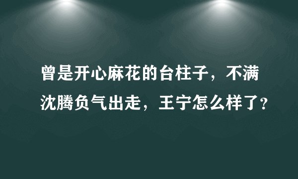 曾是开心麻花的台柱子，不满沈腾负气出走，王宁怎么样了？