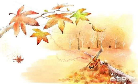 为了做自己想做的事生活在喜欢的环境,愿意抛弃眼前的事业吗?