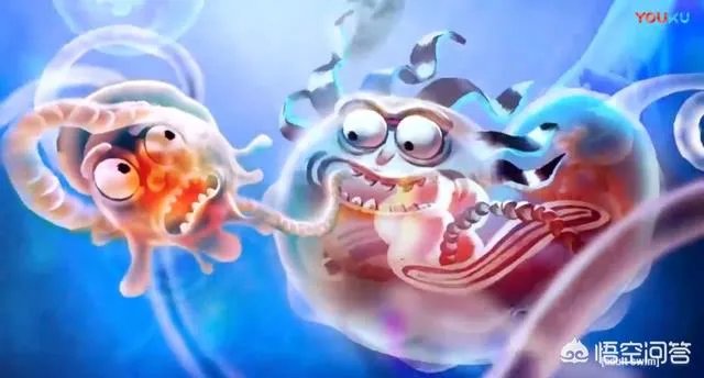 瑞克和莫蒂会出第四季吗？