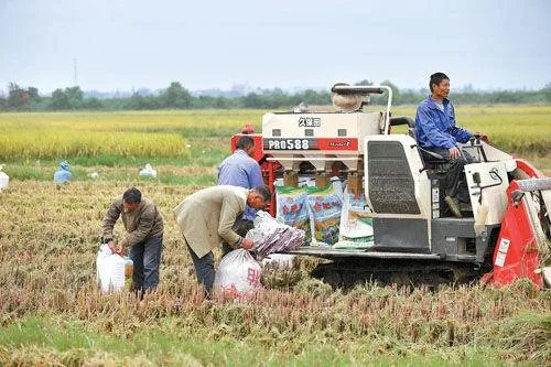 一些农产品滞销的本质是什么?