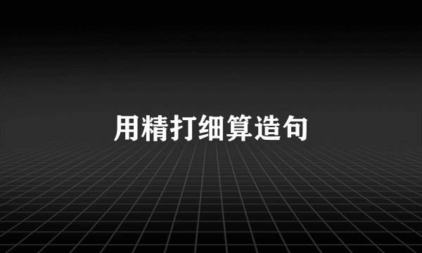 用精打细算造句