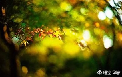 立秋写一首小诗