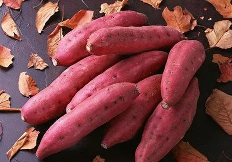 抗癌排行榜第一的菜竟然是它（图）