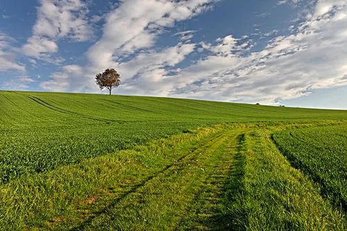 回家的路又短又长短的是距离长的是心情