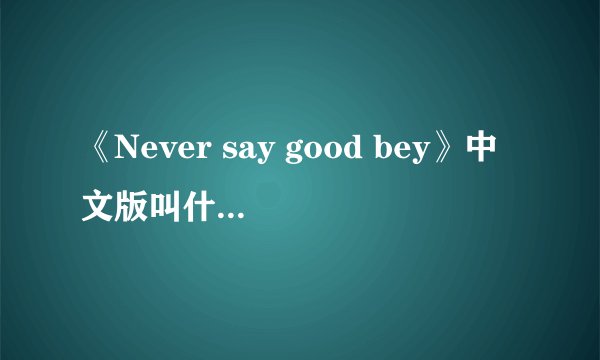 《Never say good bey》中文版叫什么名字？