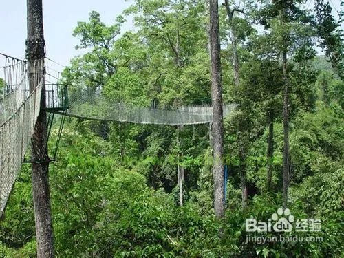 西双版纳著名的景点